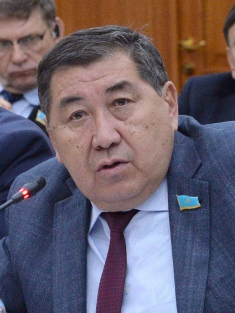 “Назарбаевтың деңгейін немересімен жасты қызға ғашықтығы туралы жазғанынан бағалауға болады” - Ермұрат Бапи