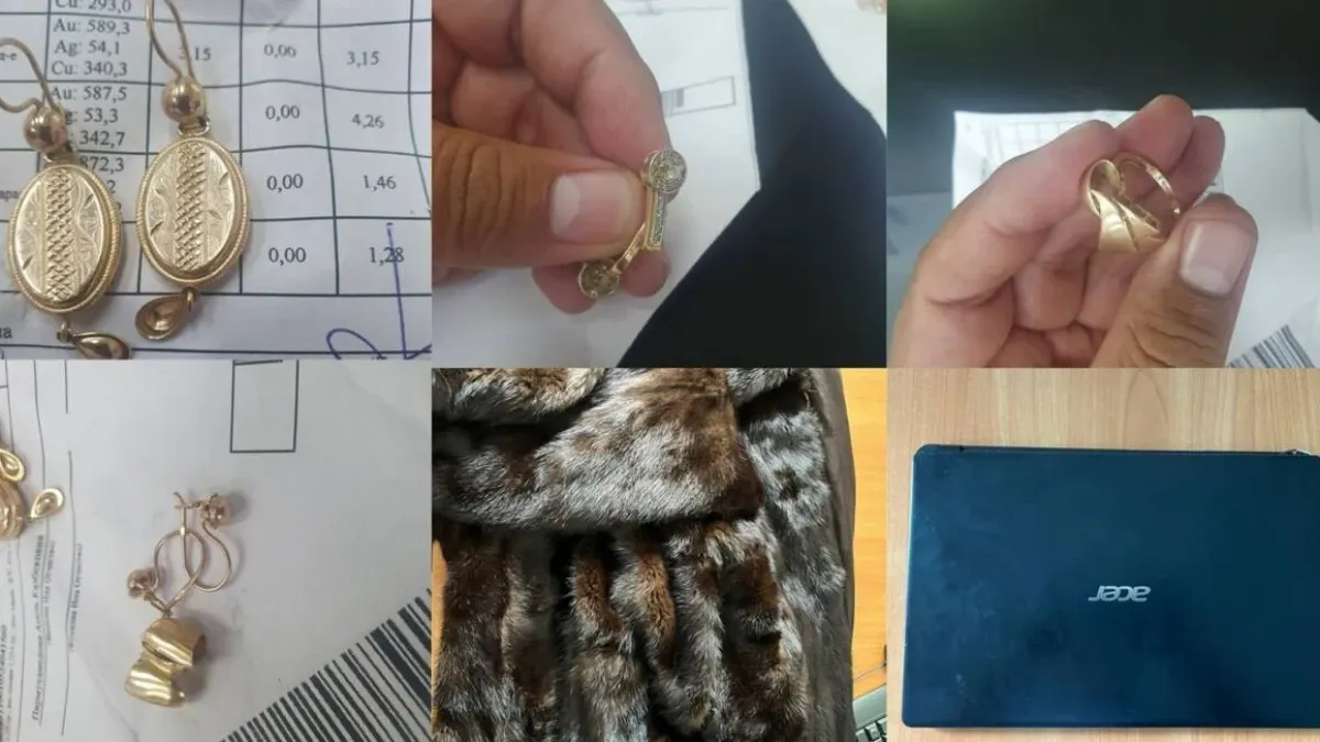 Құндыз тон, техника мен алтын: Қызылордада 24 пәтерді тонаған топ қолға түсті