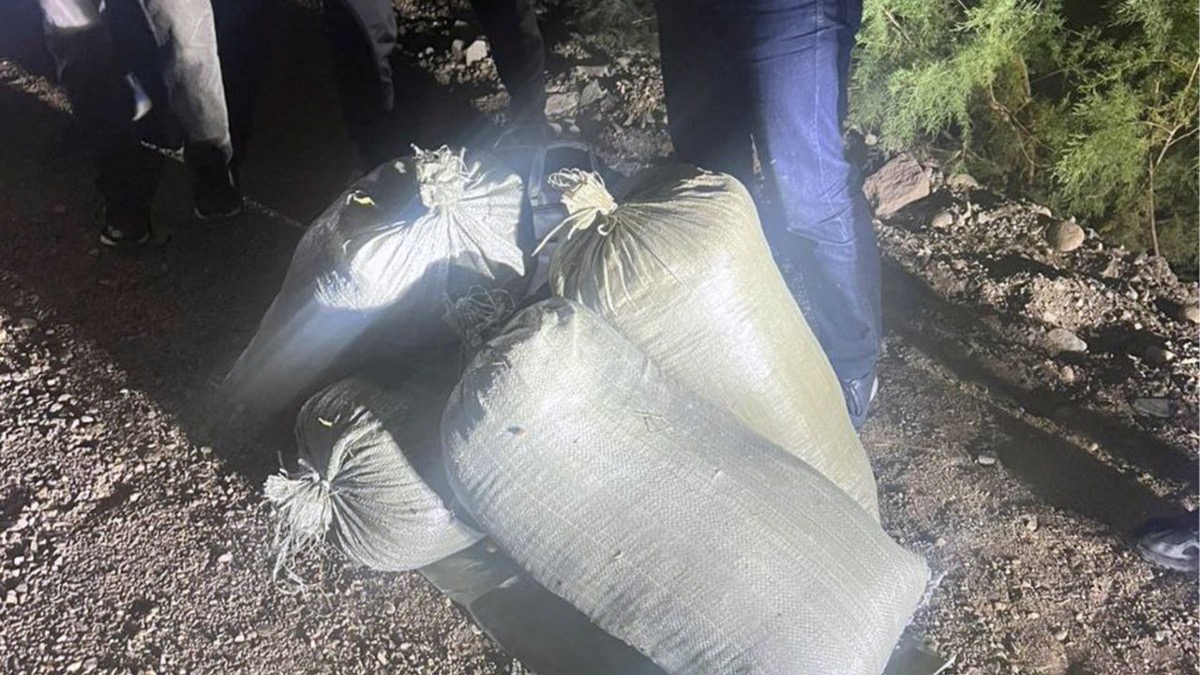 Две группировки задержаны при попытке сбыта крупной партии марихуаны 