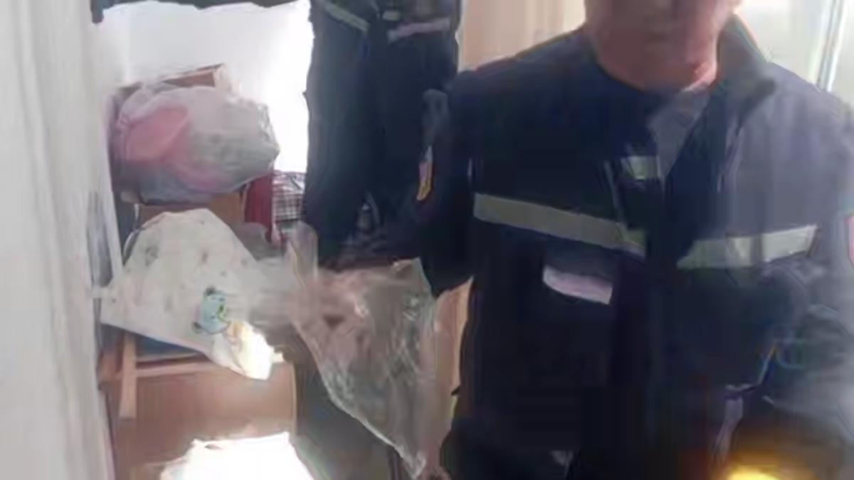 Летучая мышь залетела в квартиру жительницы Шымкента 