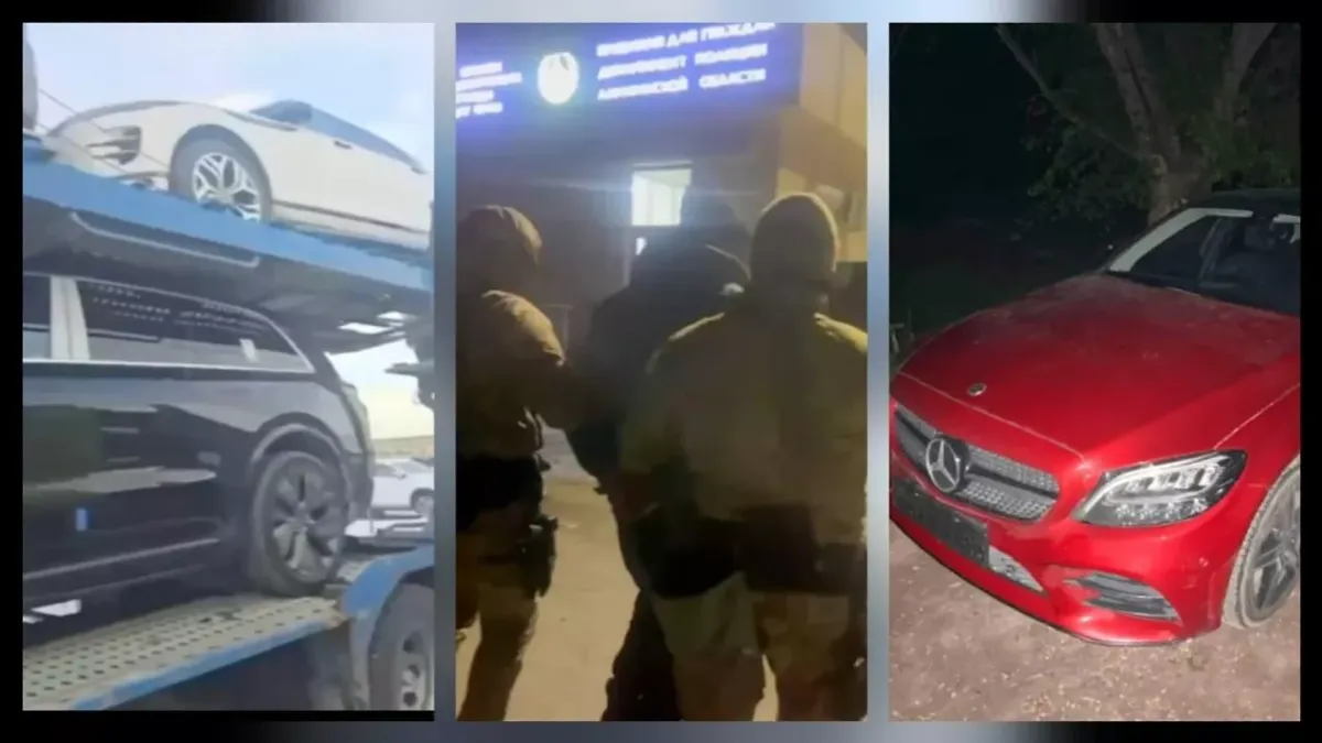 13 көлікті заңсыз иемденген: Жетісуда ірі алаяқтық қылмыс әшкереленді