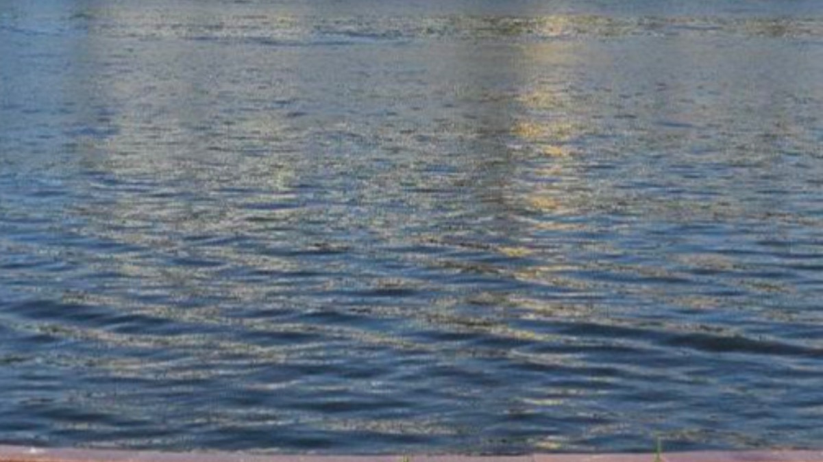 Свыше 1,5 миллиарда кубометров воды поступило в Созакский район Туркестанской области по реке Шу 