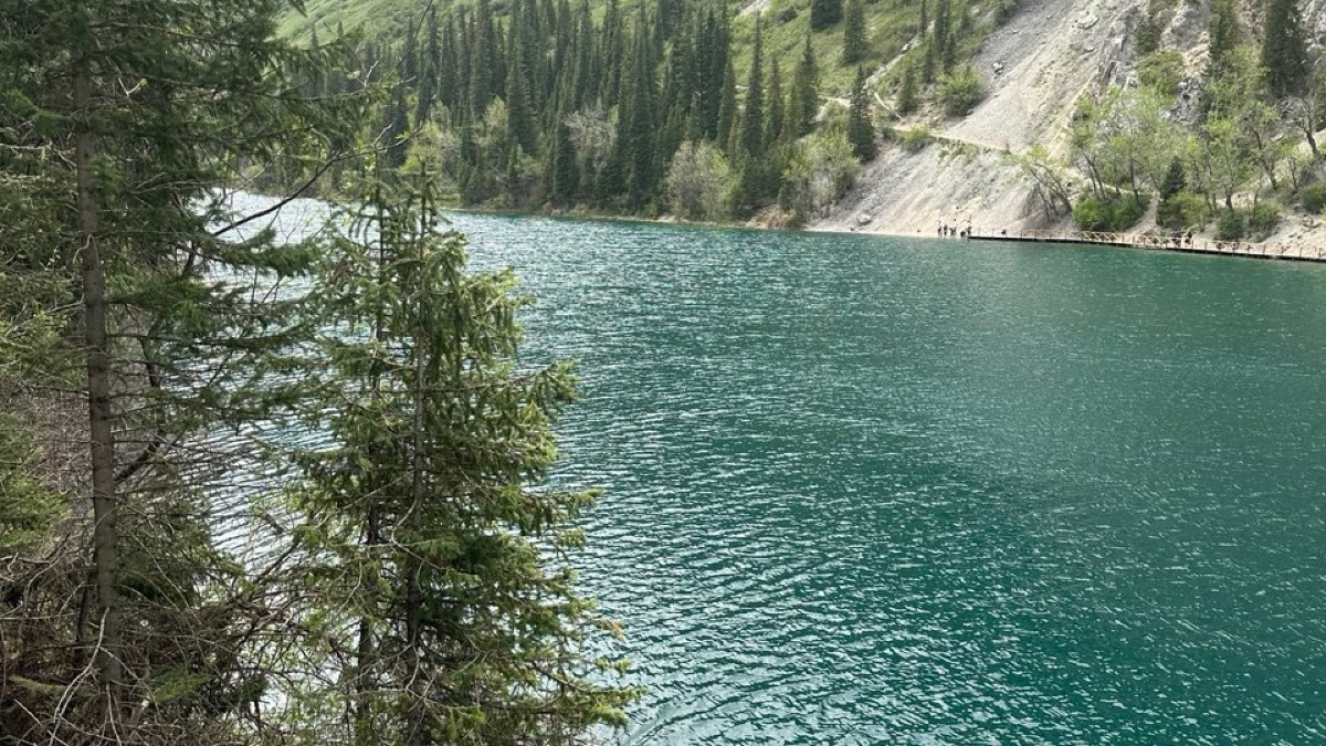 В Казахстан поступило около 304,3 млн м³ воды по рекам Шу и Талас с начала поливного сезона