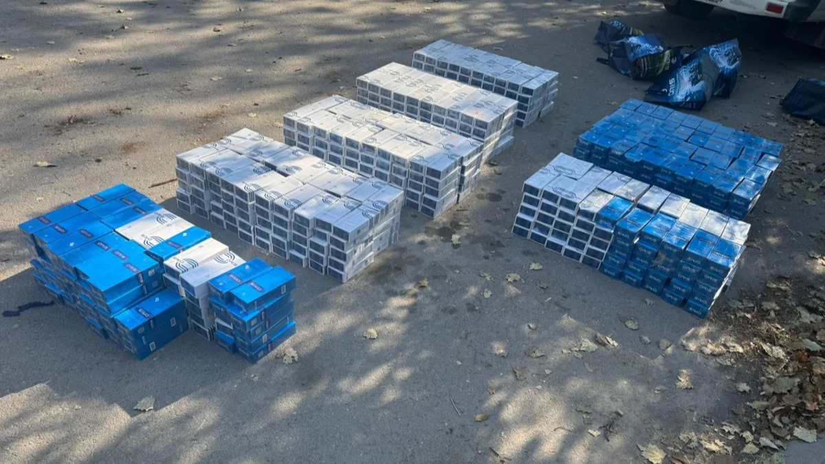 Более 12 тысяч пачек сигарет изъяли пограничники в Жамбылской области 