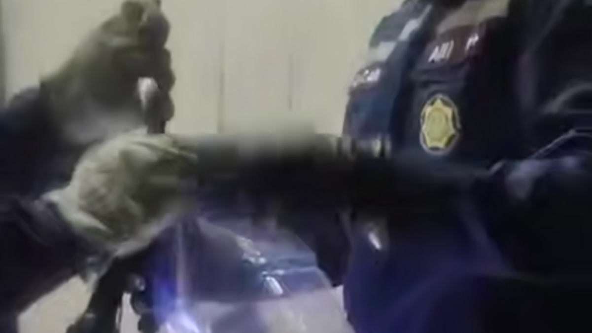 В Туркестанской области спасатели МЧС поймали змею во дворе частного дома