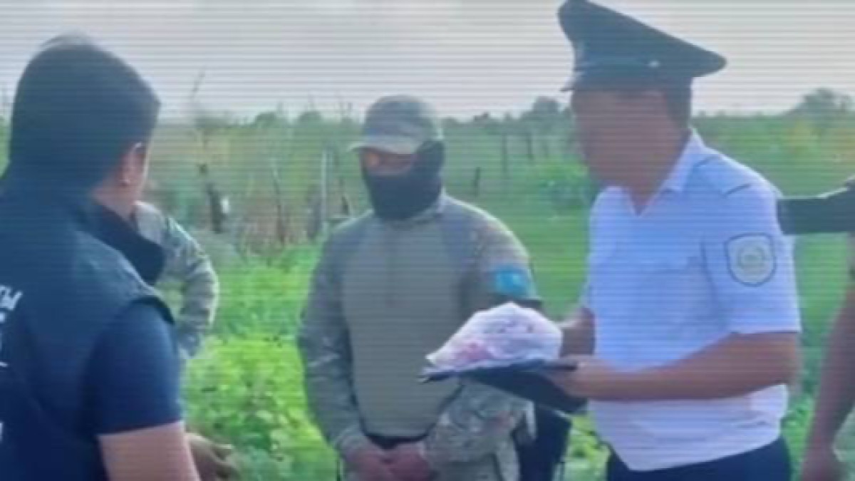 В регионах Казахстана изъято сотни килограммов наркотиков 