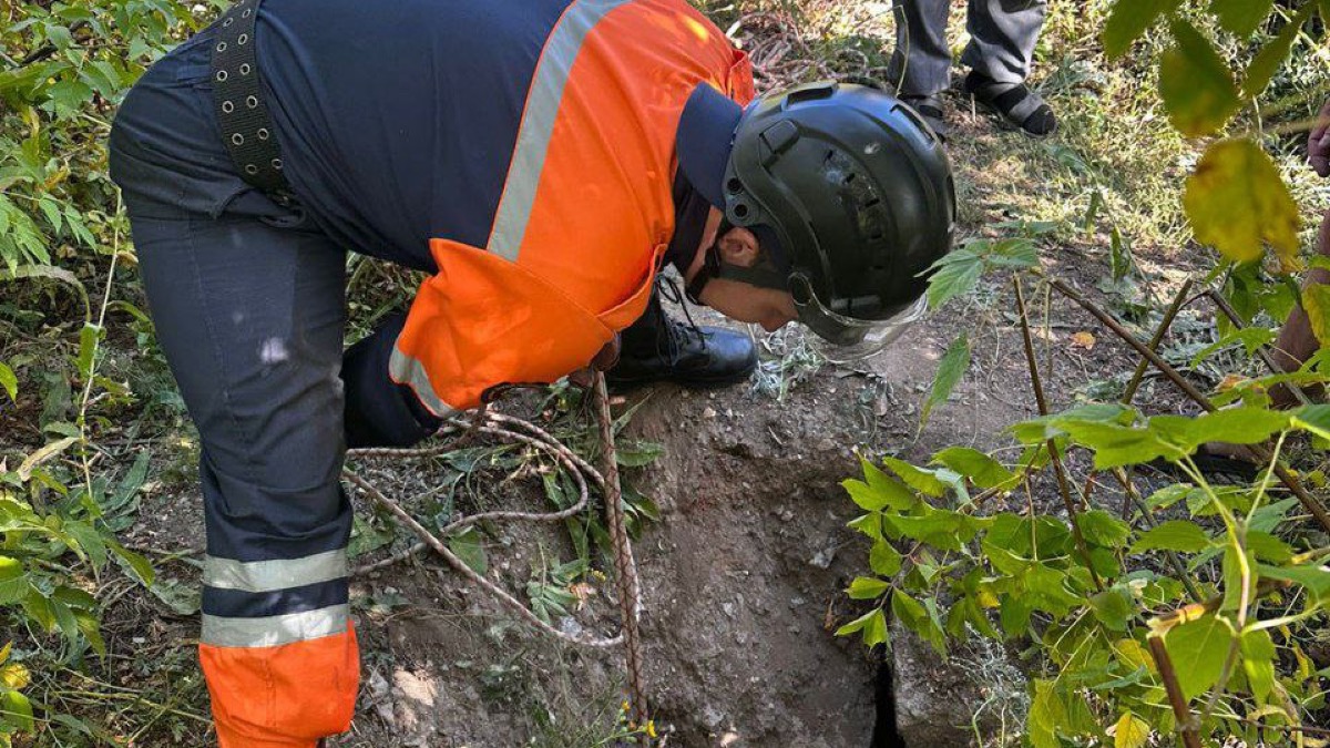 В Темиртау дети спасли собаку из колодца