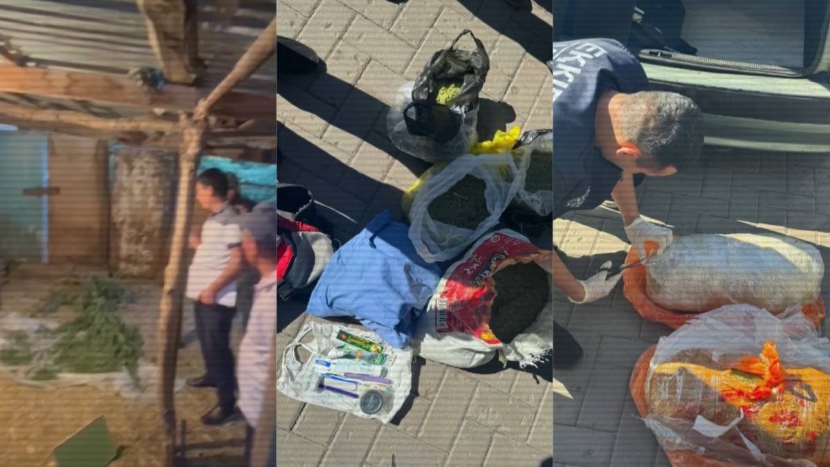 В Казахстане изъяли тонны наркотиков с начала года 