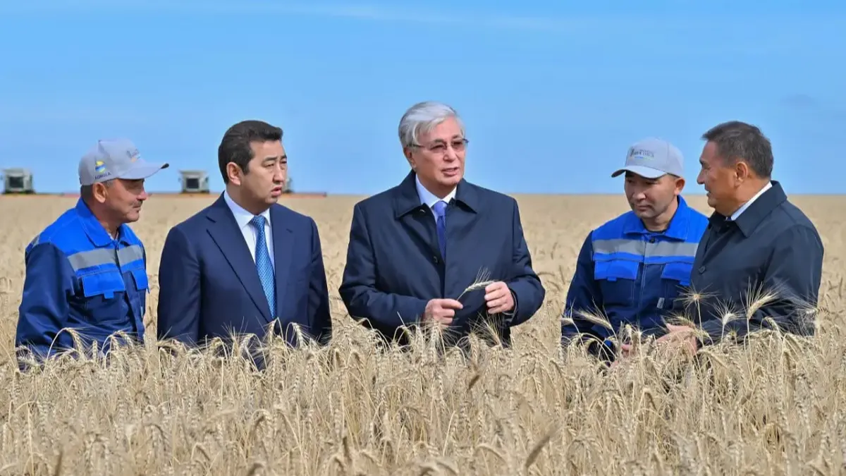 Президент Ақмола облысындағы егін жинау науқанымен танысты