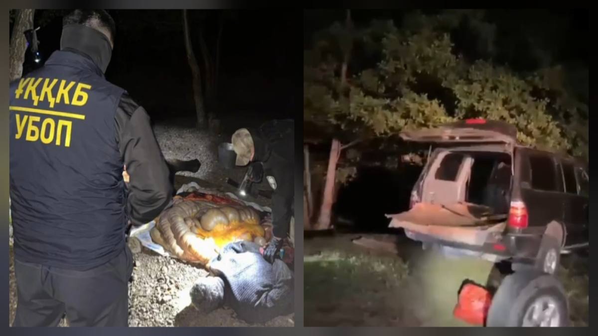 Полицейские пресекли попытку сбыта похищенного мяса в Актюбинской области 