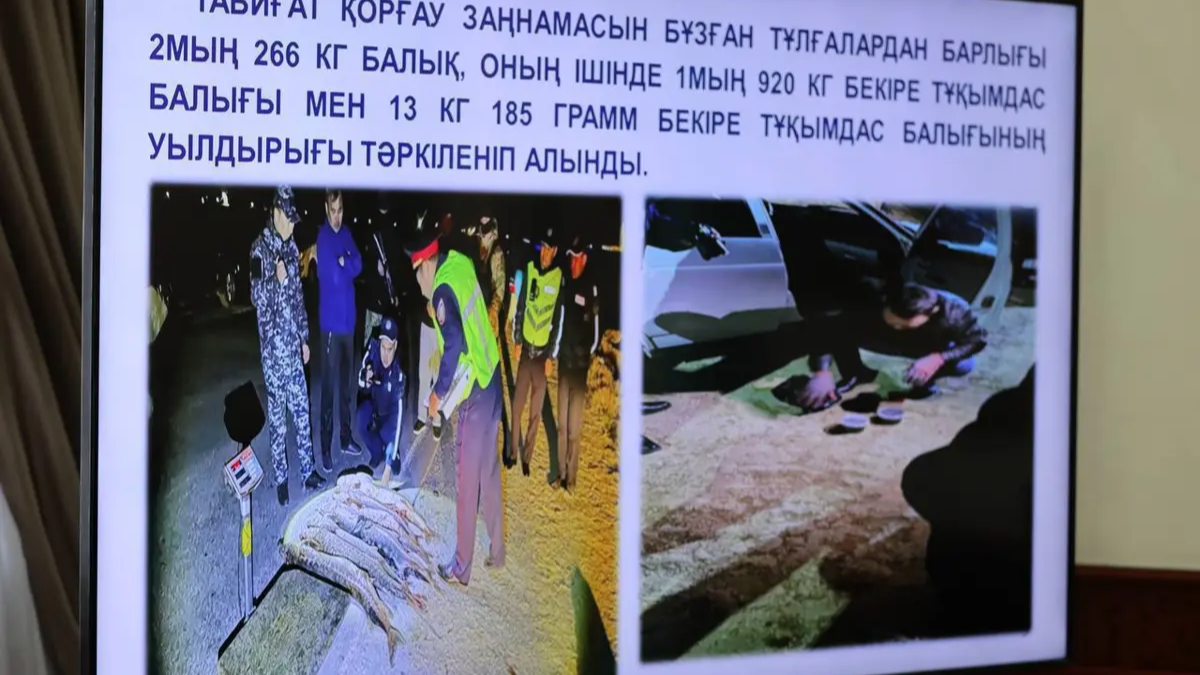 На 1,7 млн тенге оштрафовали браконьеров в Мангистау