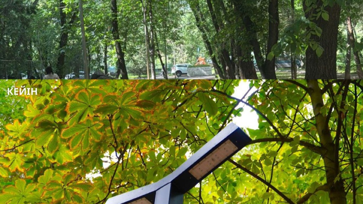 Алматының Медеу ауданында демалыс пен спортқа арналған заманауи аллея салынды