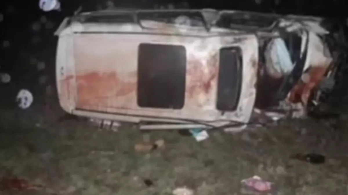 Павлодар облысында көлік жылқыны қағып кетті