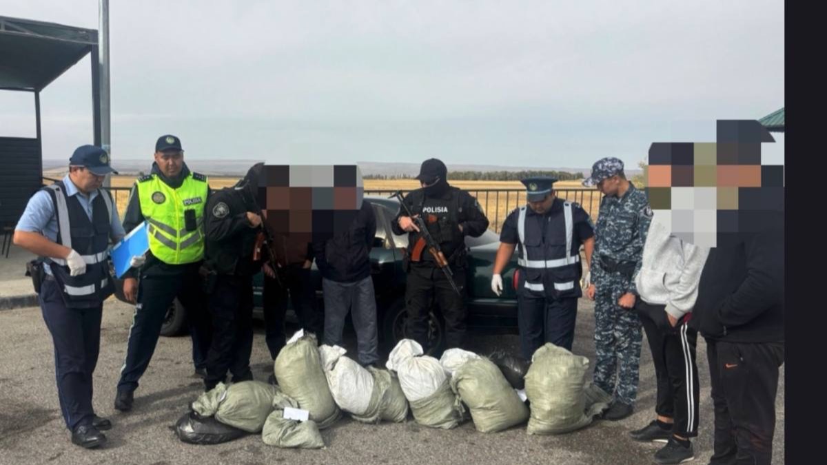 66 кг марихуаны изъяли на трассе в Жамбылской области 