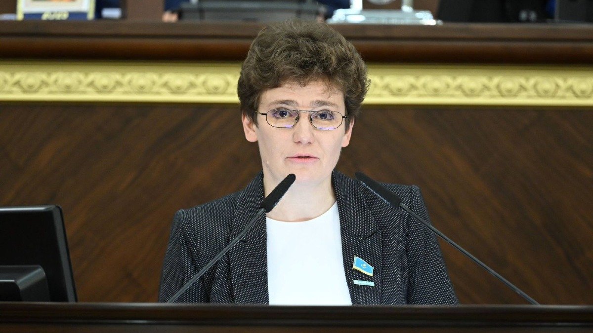 Смышляева: Поправки Сената не меняют содержание законов об ИИ