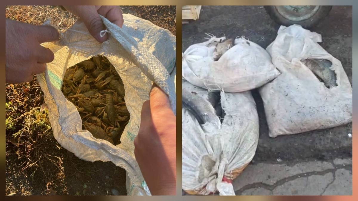 В ЗКО выявлены факты браконьерства