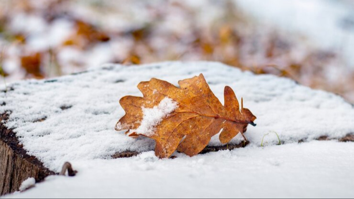 В Казахстан идет резкое похолодание и снегопады