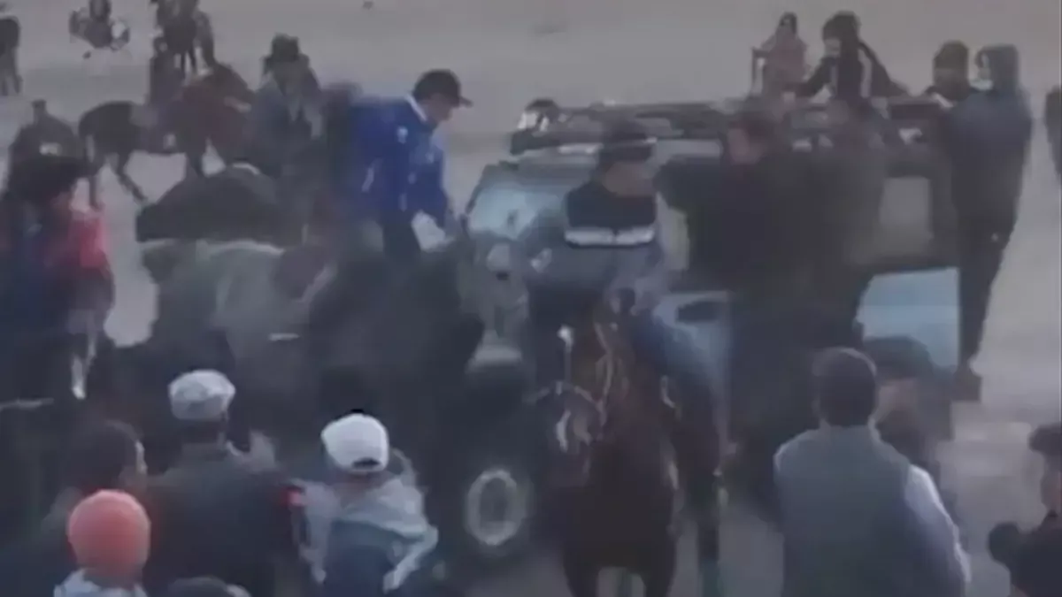 Қызылорда облысында көкпаршыларды қаққан жүргізушіге қылмыстық іс қозғалды