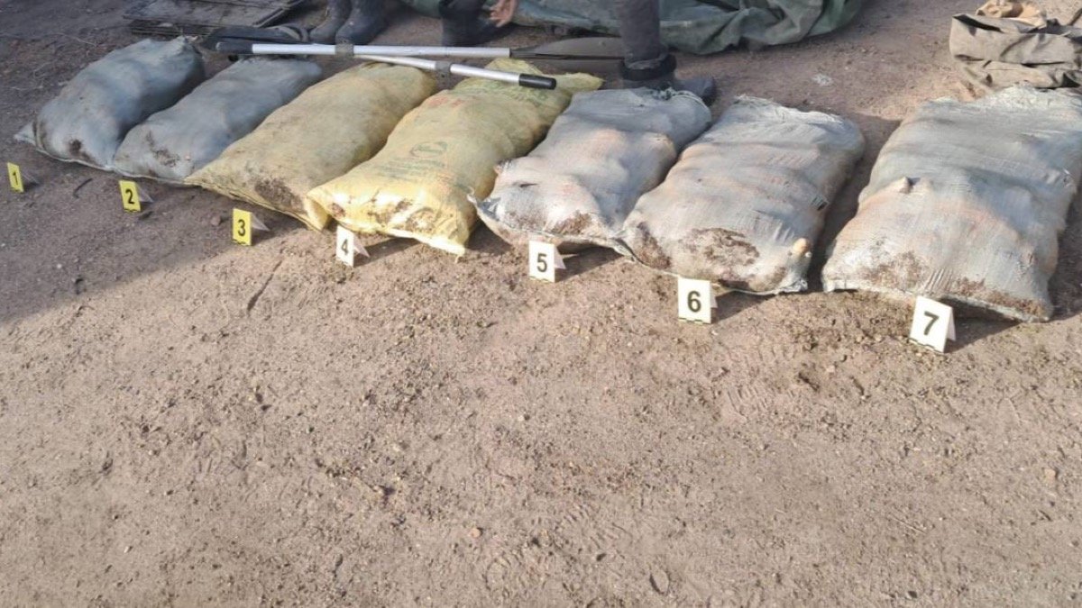 В Павлодарской области изъяли рыбу на сотни килограммов у браконьеров 