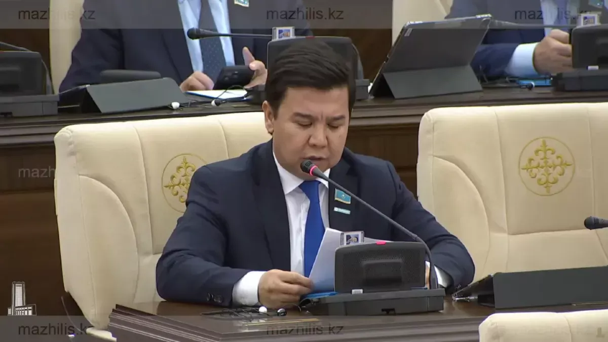 В Мажилисе обсудили инициативу о введении социального счёта, защищённого от взыскания