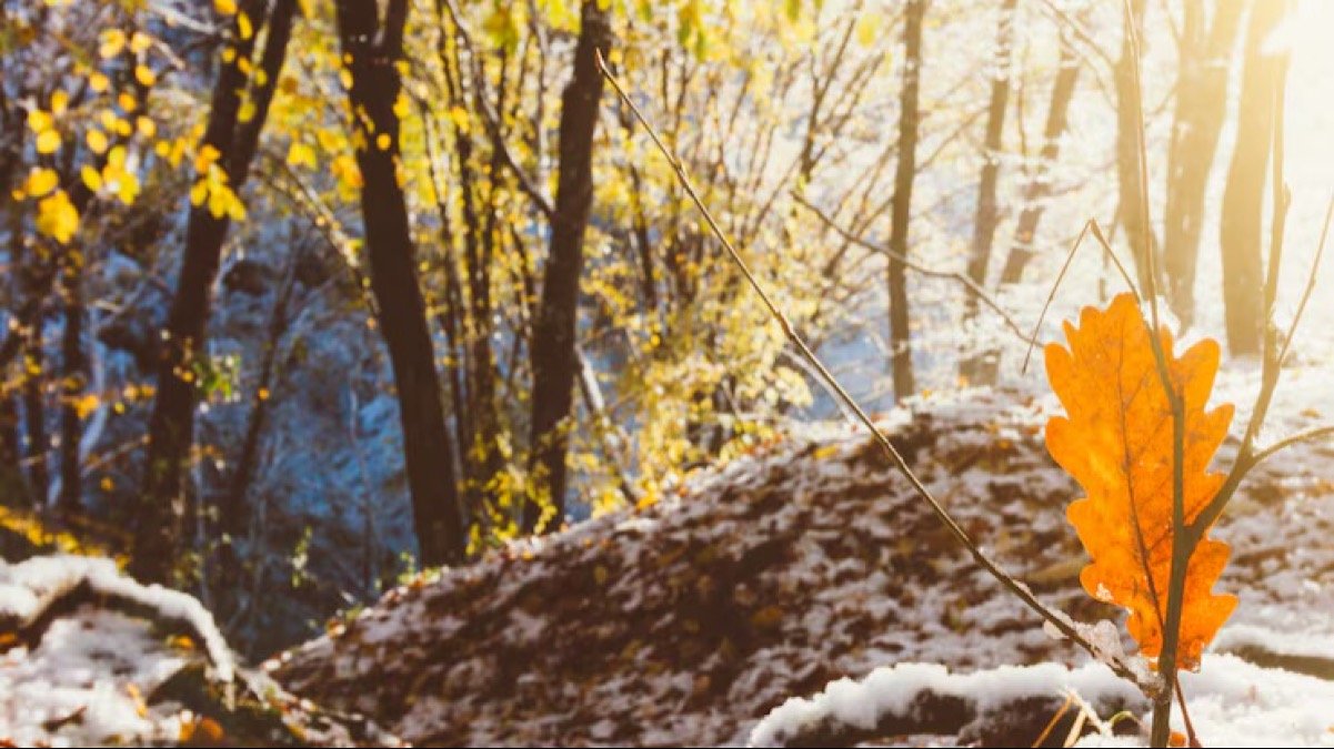 В Казахстане ожидается повышение температуры 