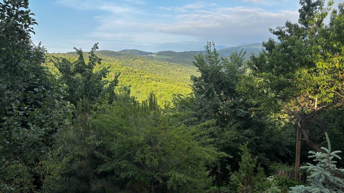 Синоптики предупредили жителей 3 городов Казахстана 