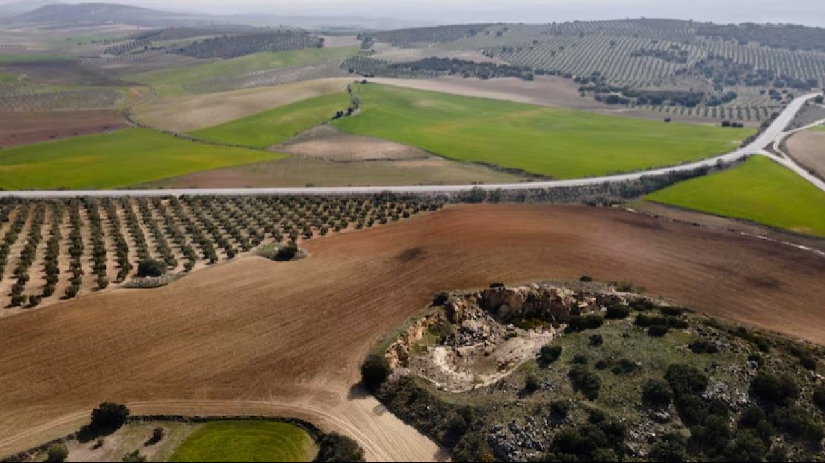 В Туркестанской области предпринимателям возвращены незаконно ограниченные земельные участки