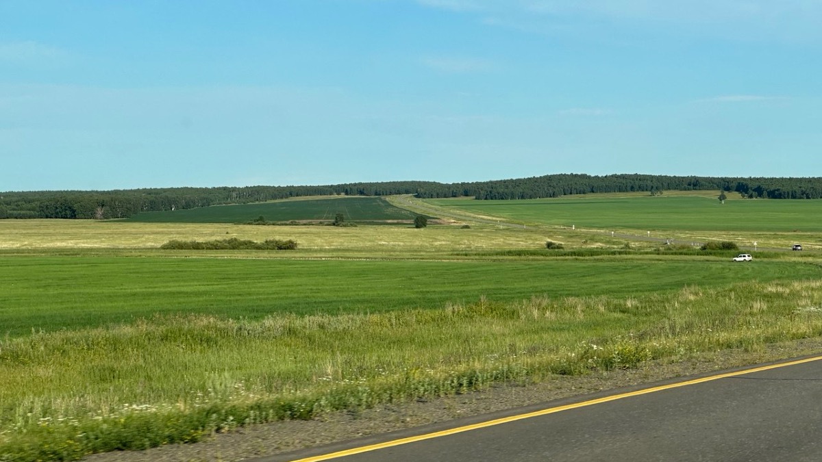 Синоптики предупредили жителей Алматы и еще 3 городов 