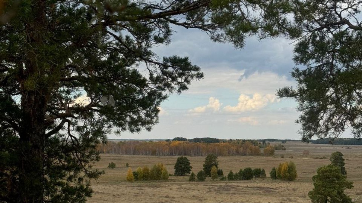 Солнечная погода сохранится на юге Казахстана 