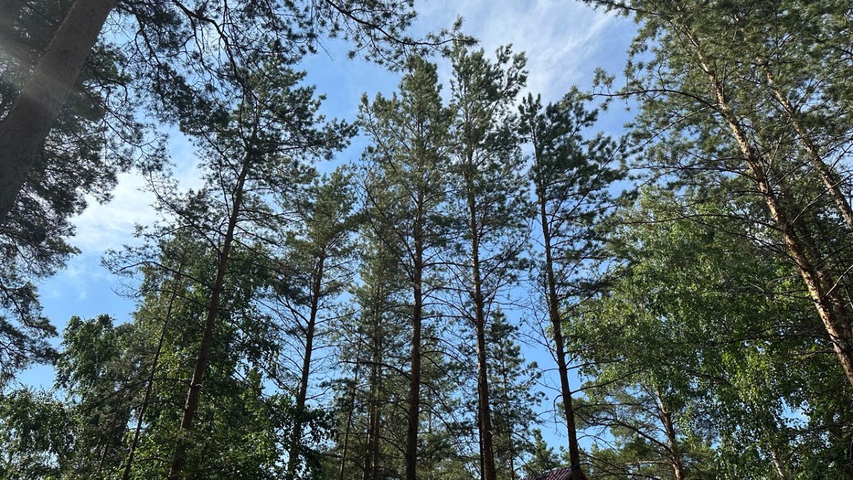 Синоптики предупредили жителей 7 городов Казахстана 