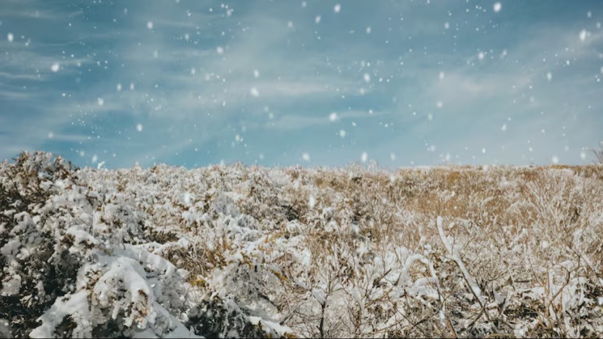 В Казахстане ожидаются снег, дождь и гололёд