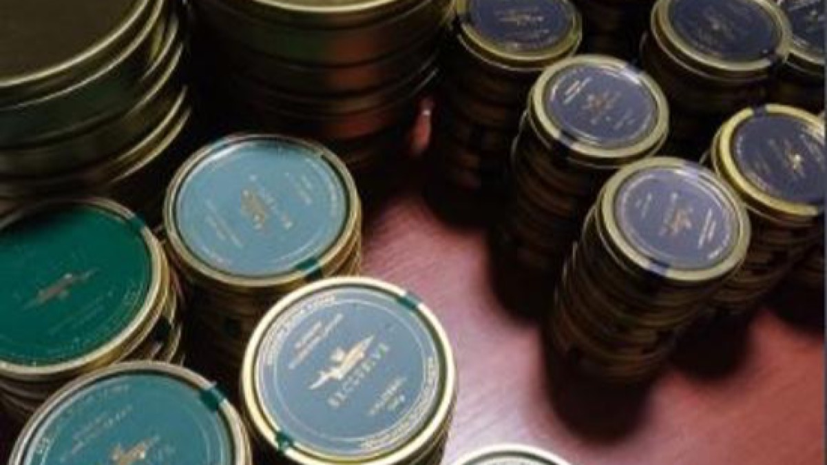 32 кг икры пытались незаконно ввезти из Кыргызстана в Казахстан