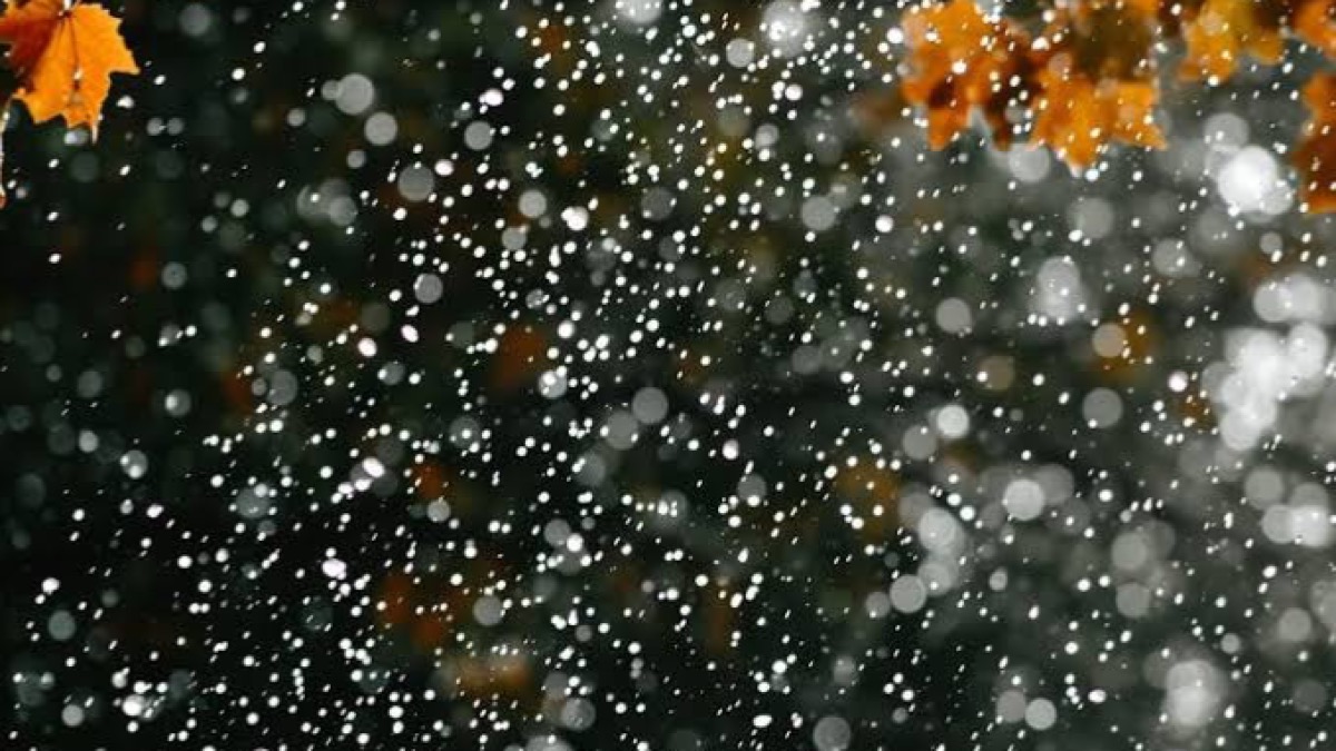 В Казахстане ожидаются осадки и метель на большей части страны