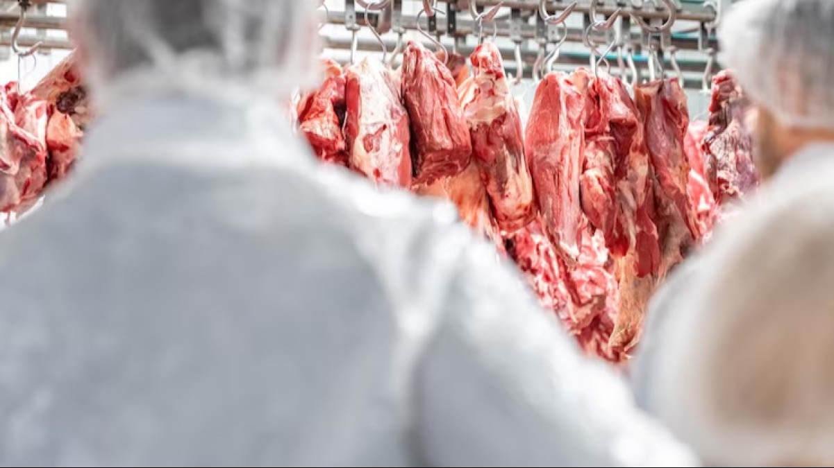 В Казахстане ограничили вывоз мяса крупного рогатого скота