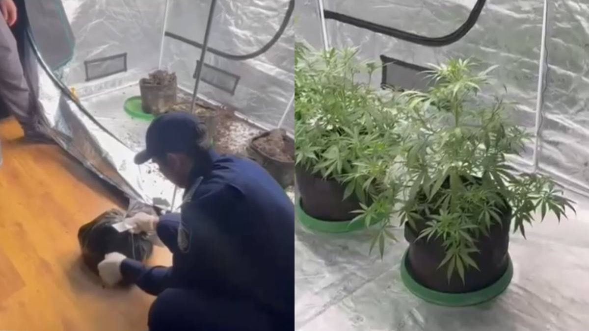 В Алматы обнаружена квартира с нарколабораторией