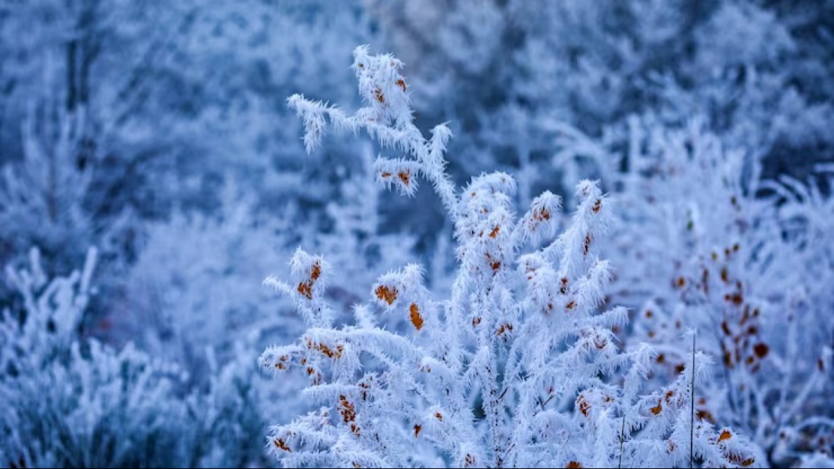 В Казахстане наступают сильные морозы