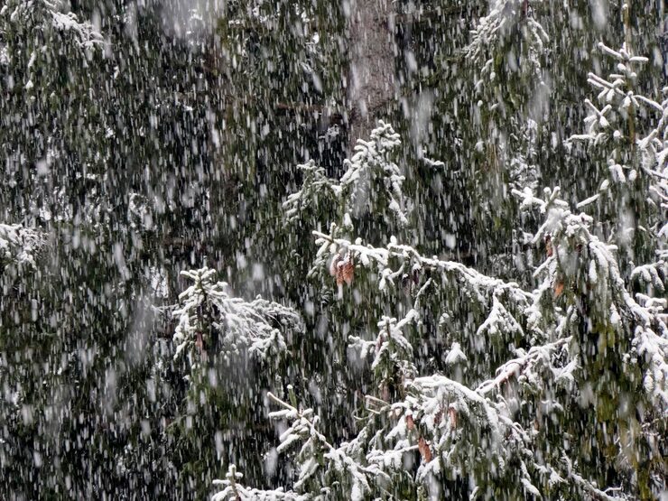 В Казахстане ожидаются снег, дождь и сильный ветер