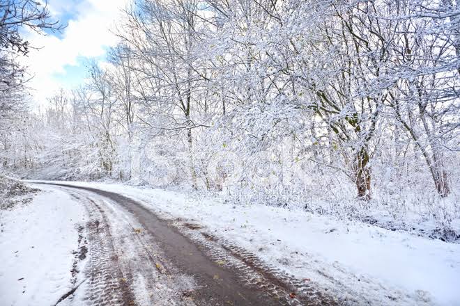 В двух областях Казахстана ограничили движение
