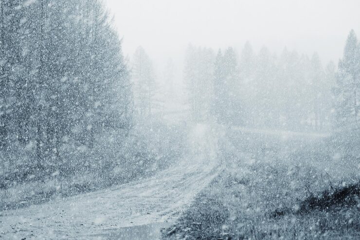 В ЗКО обнаружено тело пастуха, пропавшего в буран