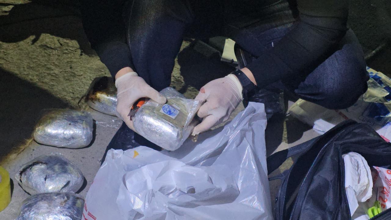 Иностранца задержали с крупной партией наркотиков на границе в Жамбылской области