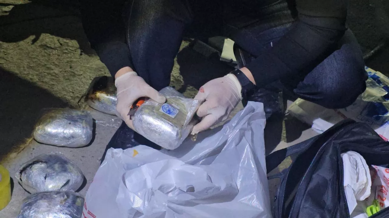 Қазақстан мен Қырғызстан шекарасында есірткінің ірі партиясы тәркіленді