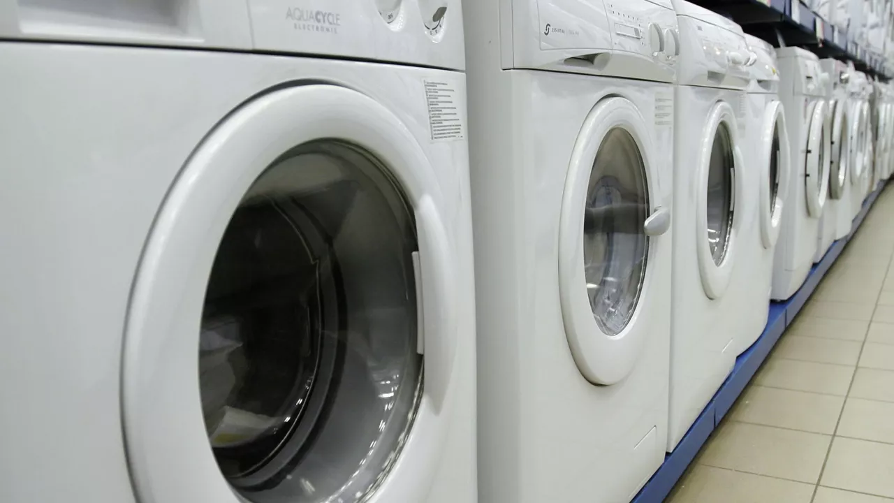 Жетісу облысында әйел мысығын кір жуғыш машинада айналдырған