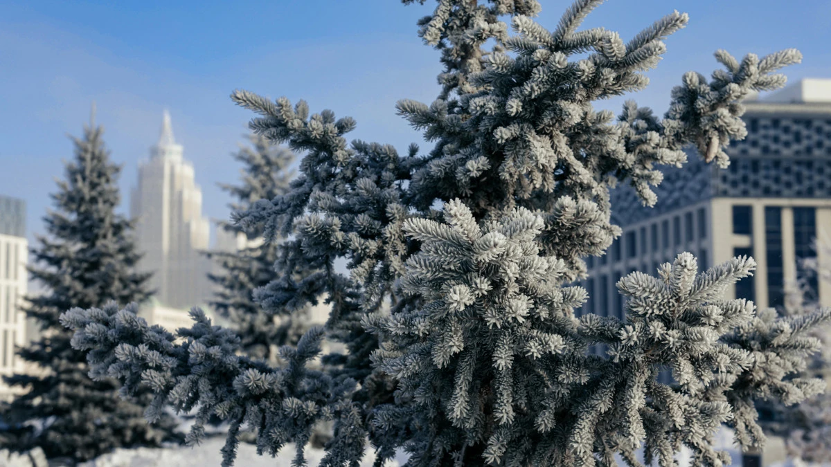 Алдағы күндері ауа райы қандай болады