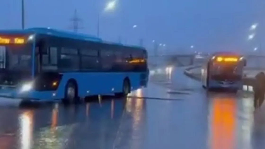 Қарағанды – Астана автожолы уақытша жабылды