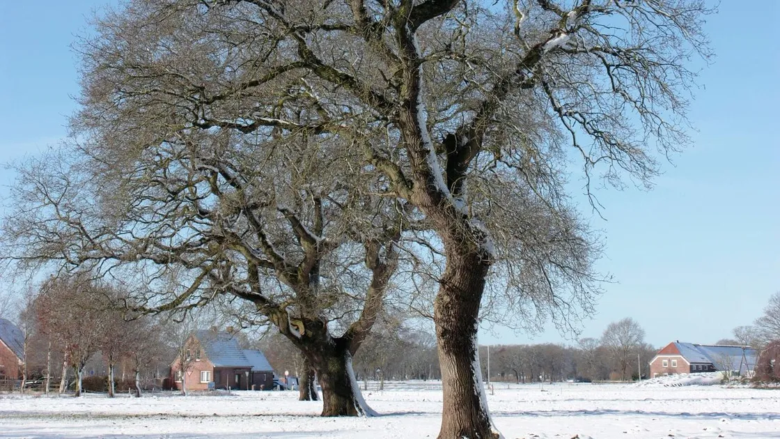 Қазақстанның екі облысының шекарасында жер сілкінісі тіркелді