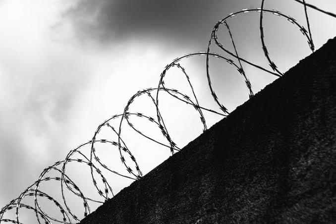 В Шымкенте расследуется дело о применении пыток в исправительном учреждении