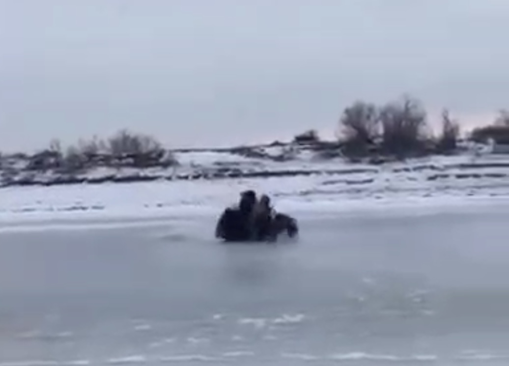 Инспекторы рыбного хозяйства провалились под лёд на квадроцикле