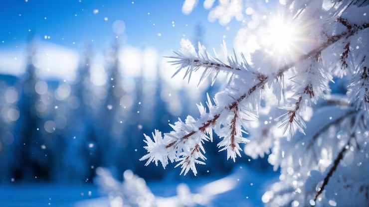 Антициклон принесет потепление в Казахстан