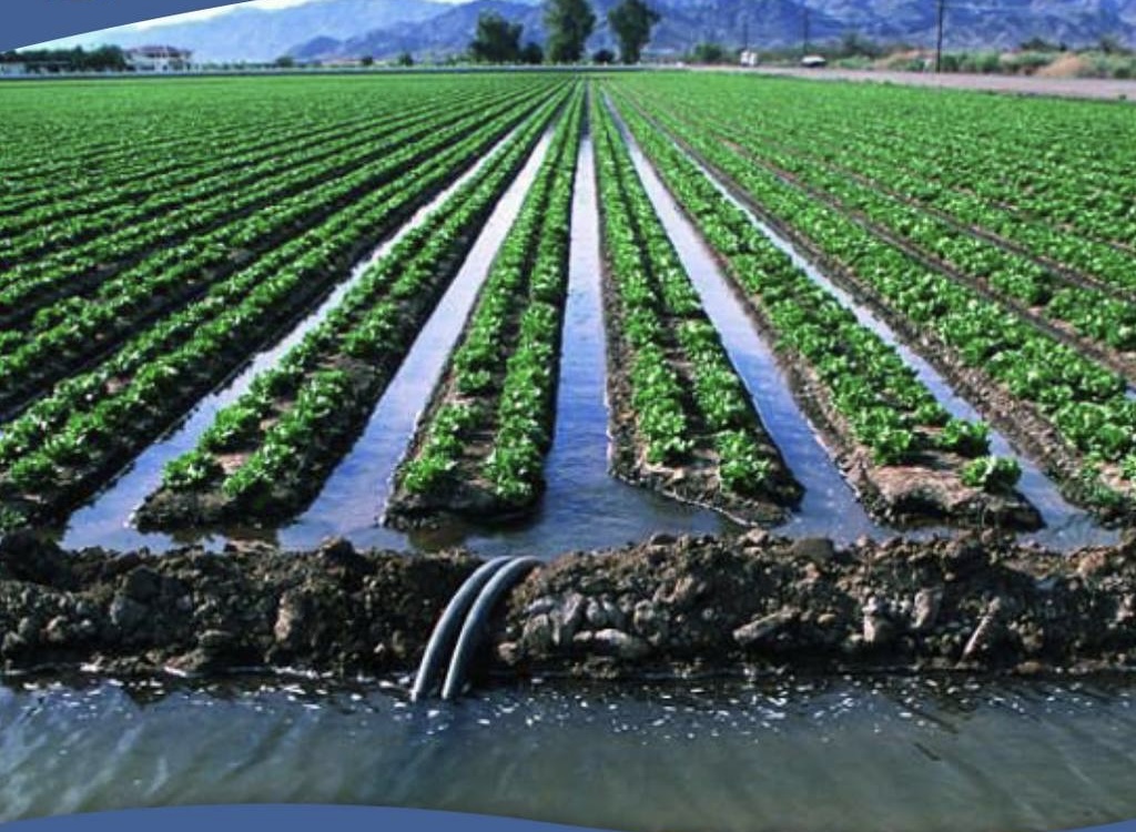 За нарушения в сфере поливной воды выписаны штрафы на 17,8 млн тенге
