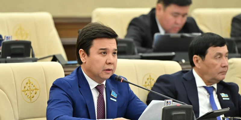 Сәбіз экспортына шектеу фермерлер наразылығын туғызды — депутат Үкіметке сауал жолдады